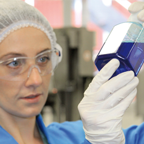 Process validation Verification of test results during process validation