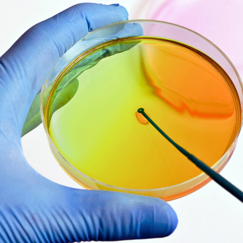 Microbiological sampling within the scope of cleanroom qualification Carrying out microbiological sampling as part of a cleanroom qualification process