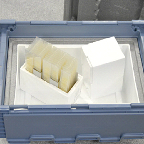 Qualification of a packaging system GxP-compliant qualification of a packaging system